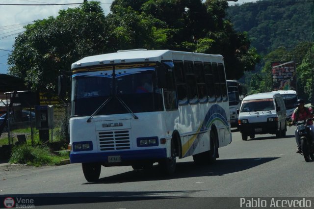 A.C. Transporte Paez 083 por Pablo Acevedo