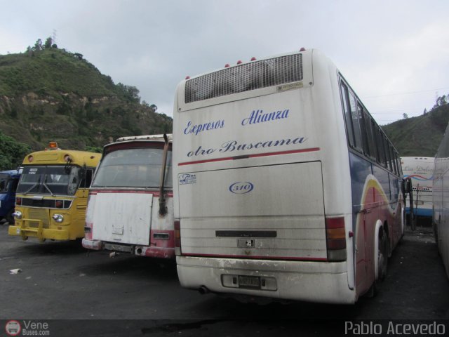 Expresos Alianza 310 por Pablo Acevedo