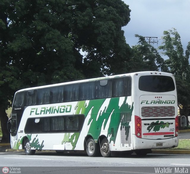 Expresos Flamingo 0110 por Waldir Mata