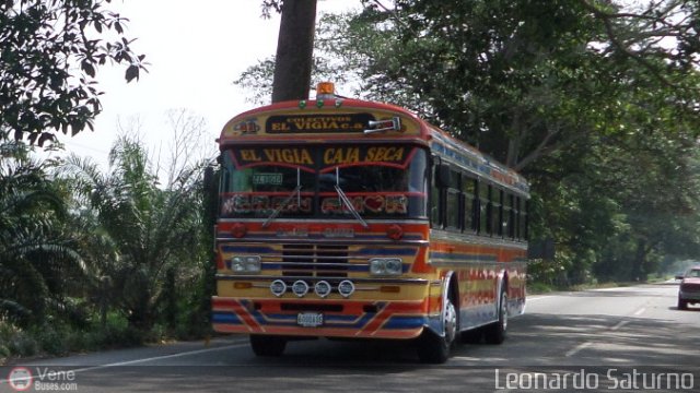 Colectivos El Vig�a 11 por Leonardo Saturno