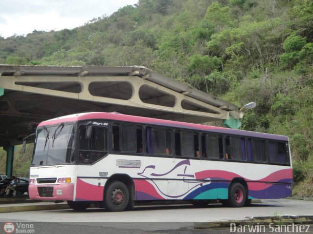 Transportes Frontino 1016 por Darwin Sanchez