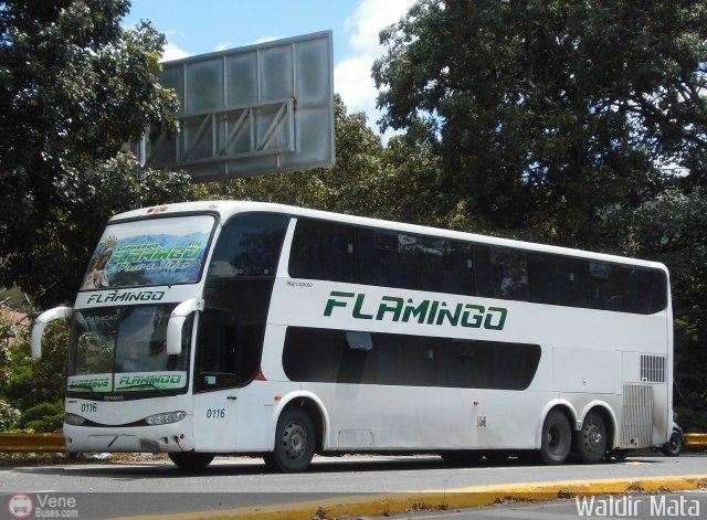 Expresos Flamingo 0116 por Waldir Mata
