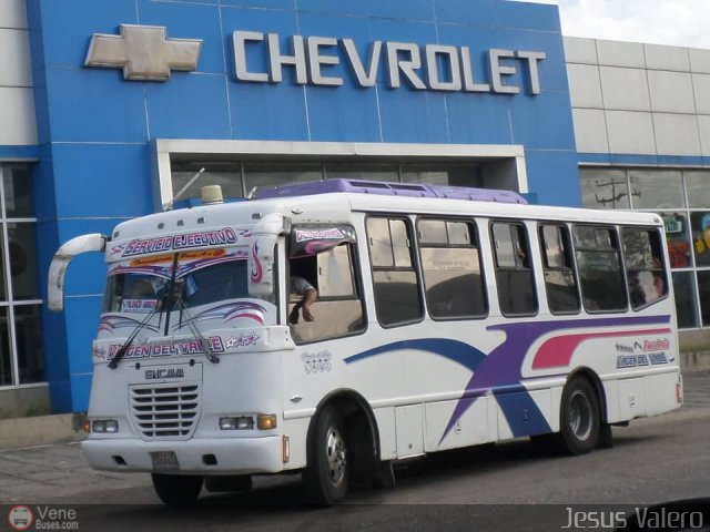 A.C. Transporte Paez 042 por Jes�s Valero