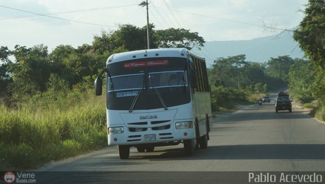 A.C. Expresos Barinas 119 por Pablo Acevedo