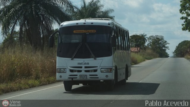 A.C. Transporte Paez 099 por Pablo Acevedo
