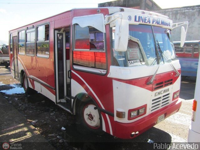 TA - A.C. Autos por puesto L�nea Palmira 039 por Pablo Acevedo