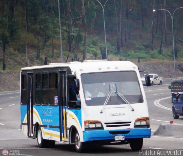 Particular o Desconocido Miranda por Pablo Acevedo
