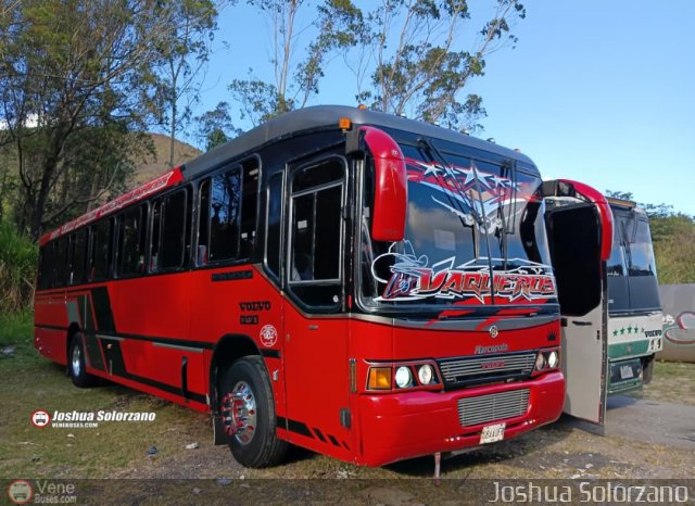 Organizaci�n Guaicamacuto 090 por Joshua Sol�rzano