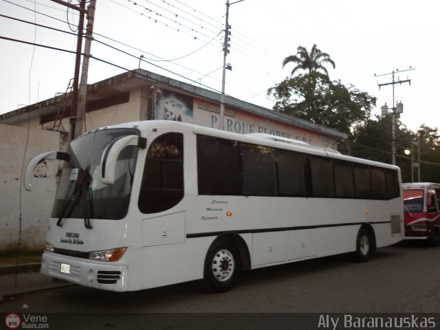 Servicios Especiales del Centro C.A. 30 por Aly Baranauskas