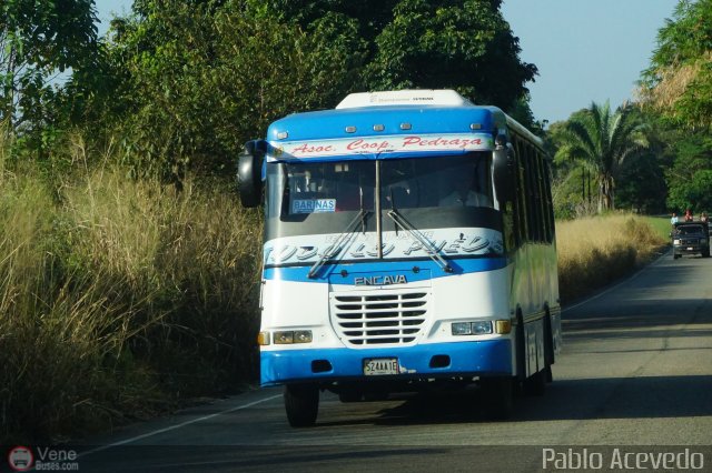 A.C. Pedraza 095 por Pablo Acevedo