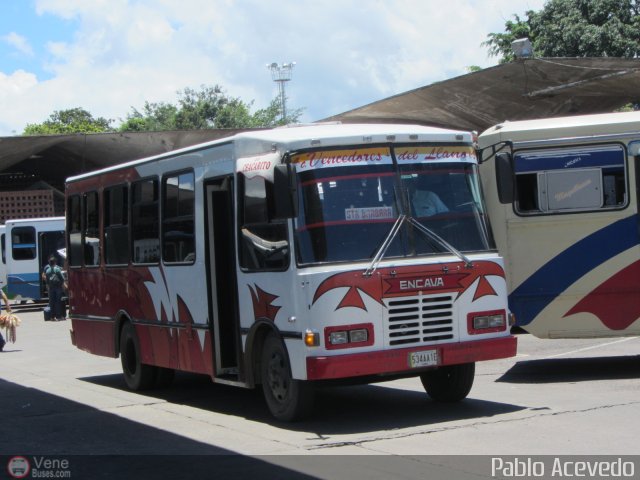 A.C. Vencedores del Llano 065 por Pablo Acevedo