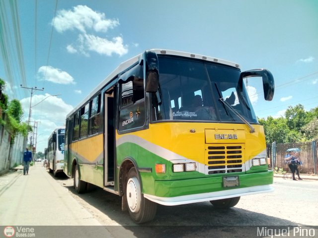 A.C.C. Caicara Amazonas 005 por Miguel Pino