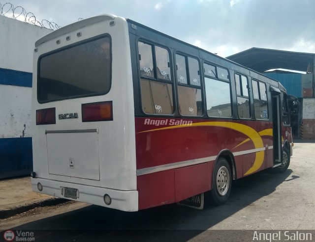 Colectivos El Vig�a 17 por �ngel Sal�n