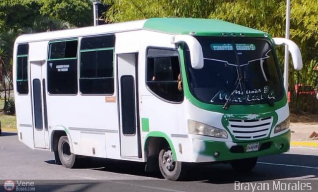 TA - A.C. L�nea Timoteo Chac�n 26 por Jerson Nova