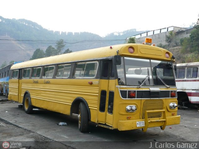 Universitarios y Escolares 99 por J. Carlos G�mez