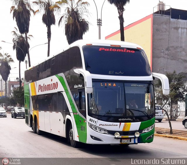 Expreso Internacional Palomino 8011 por Leonardo Saturno