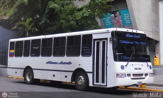 L�nea Arvelo 05 por Waldir Mata