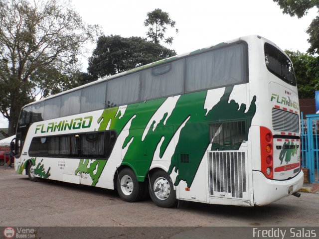 Expresos Flamingo 0112 por Freddy Salas