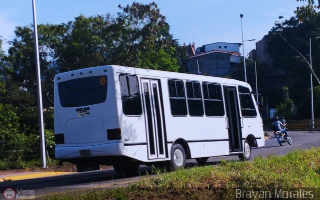 TA - A.C. Lnea Intercomunal 50 por Jerson Nova