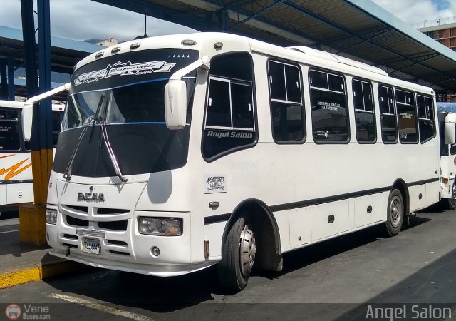 A.C. de Transporte N�mero Uno R.L. 049-B por �ngel Sal�n