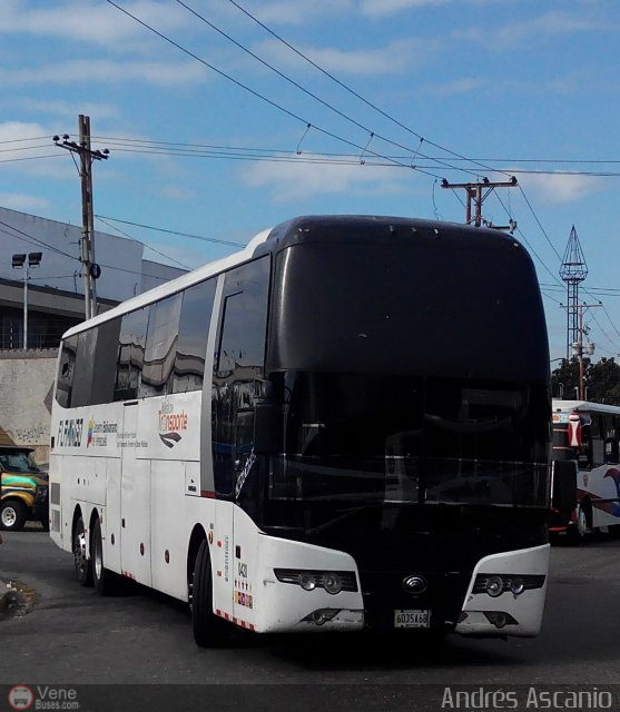 Expresos Flamingo 0420 por Andr�s Ascanio