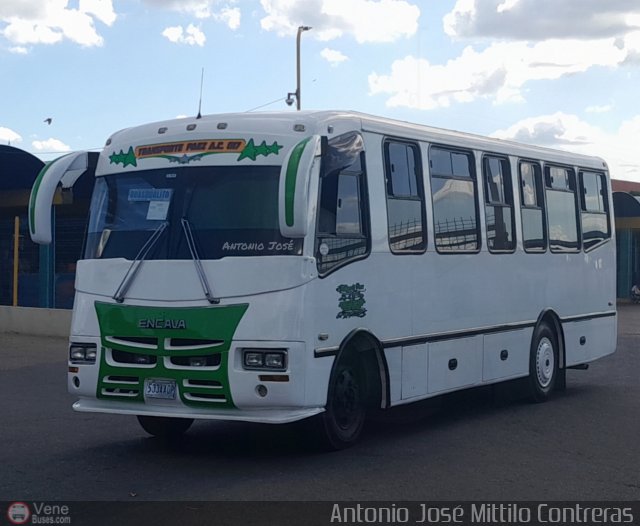 A.C. Transporte Paez 017 por Antonio Mittilo