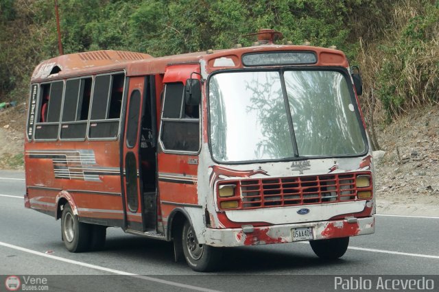 DC - Tigres de Plan de Manzano 023 por Pablo Acevedo
