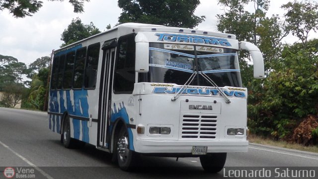 L�nea Los Andes S.C. 017 por Leonardo Saturno