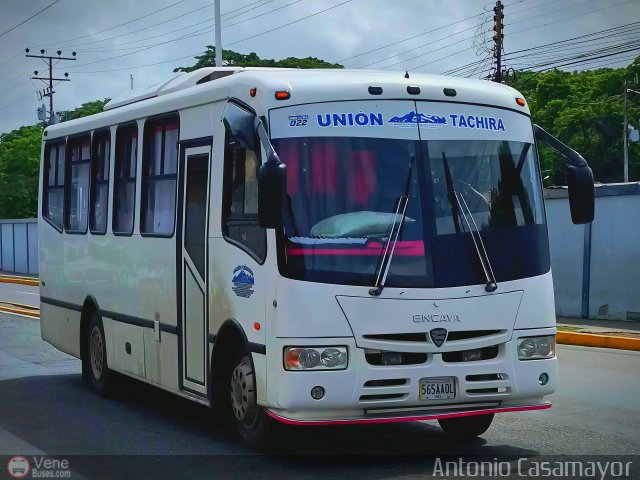 Unión Táchira 022 por Antonio Casamayor