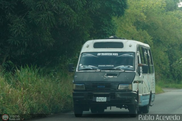 Particular o Desconocido Miranda por Pablo Acevedo