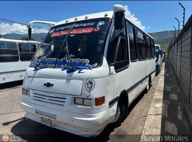 TA - Sta. Teresa Las Lomas 43 por Jerson Nova