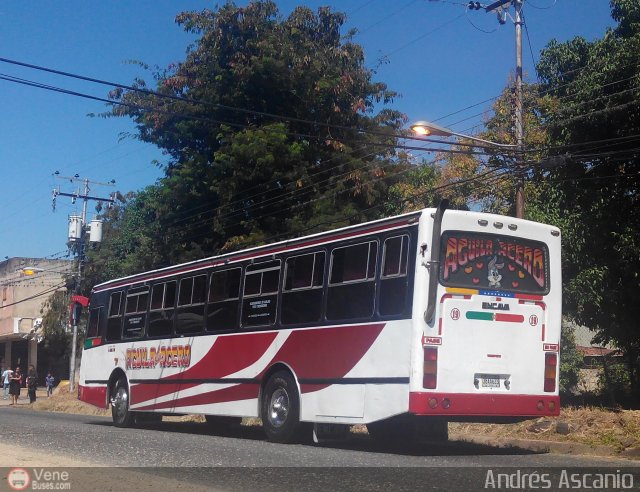 Expresos G�ig�e 19 por Andr�s Ascanio