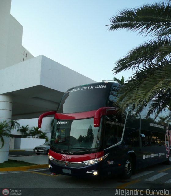 Tigres de Aragua B.B.C. 01 por Alejandro Curvelo