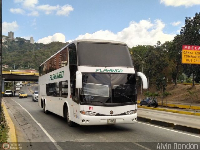 Expresos Flamingo 0141 por Alvin Rond�n