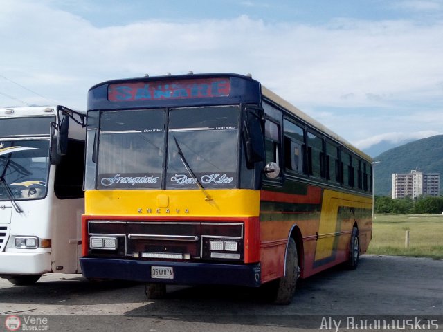 L�nea Sanare 10 por Aly Baranauskas