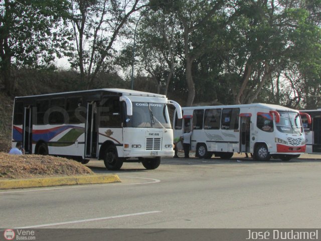 Coop. de Transporte Coromoto 29 por Jos� Dudamel