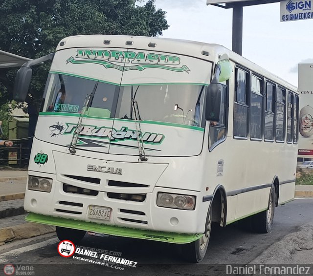 A.C. Indepasib 088 por Daniel Fern�ndez