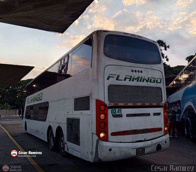 Expresos Flamingo 0341 por C�sar Ram�rez