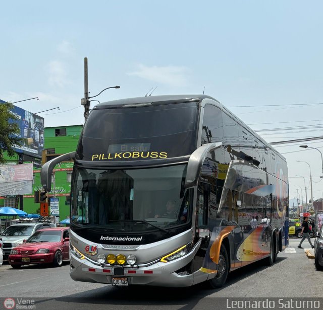 Transportes GM Internacional 403 por Leonardo Saturno