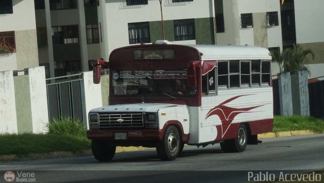 ME - U.C. Domingo Salazar 12 por Pablo Acevedo