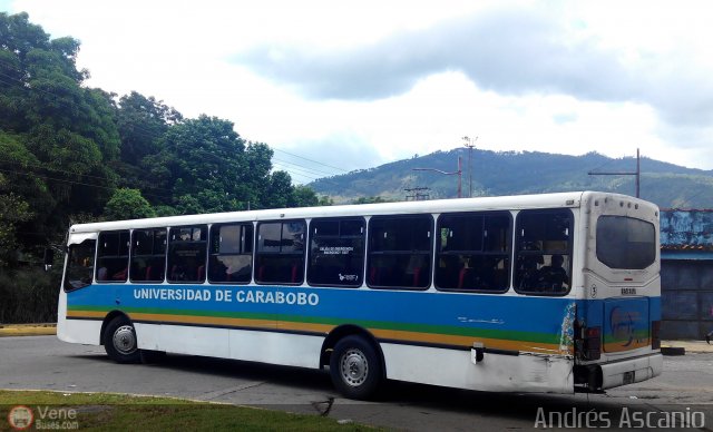 Universidad de Carabobo 003 por Andr�s Ascanio