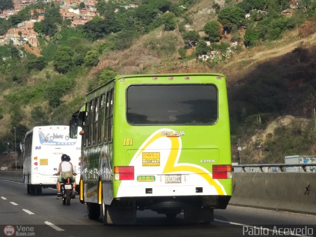 A.C. Indepasib 101 por Pablo Acevedo