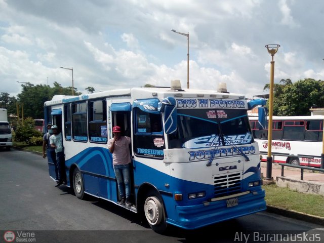 CA - Asociaci�n de Transporte Palmival 81 por Aly Baranauskas