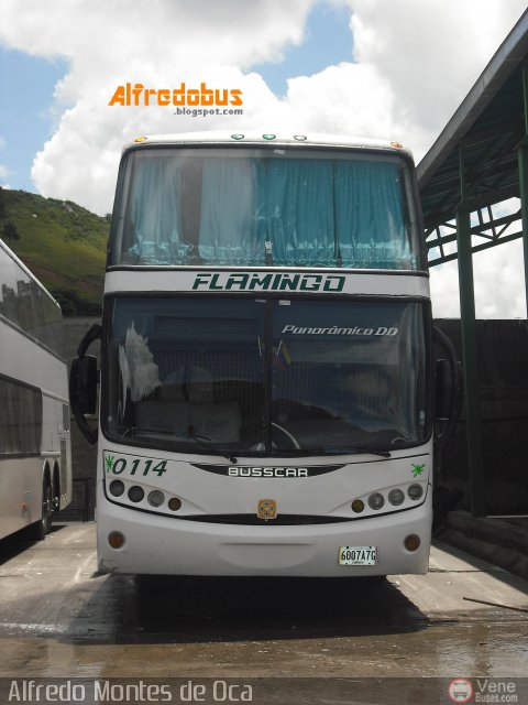 Expresos Flamingo 0114 por Alfredo Montes de Oca
