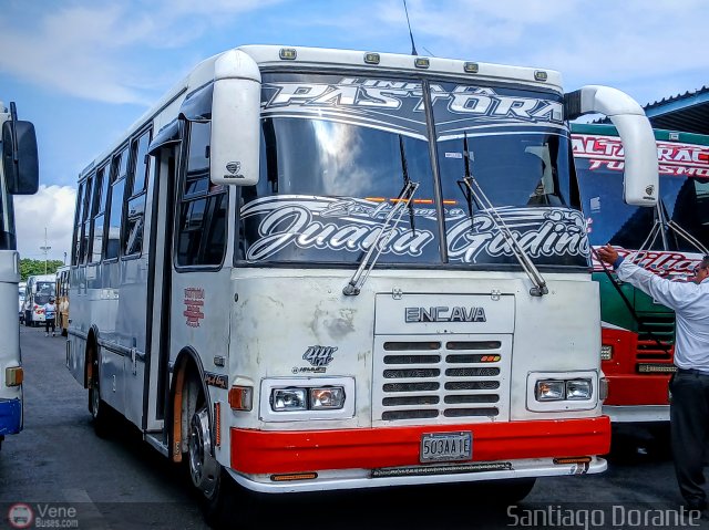 L�nea La Pastora 44 por Santiago Dorante