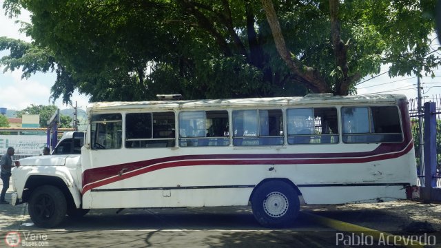 Particular o Desconocido 96 por Pablo Acevedo