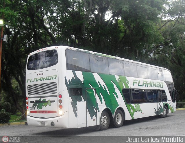 Expresos Flamingo 0171 por Jean Carlos Montilla