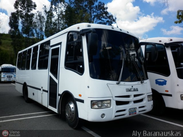 Particular NO USAR M�S 25 por Aly Baranauskas