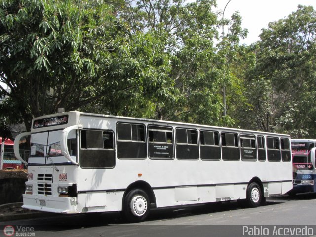 Expresos Los 3 Cachilapos 05 por Pablo Acevedo