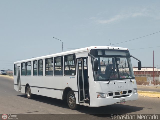 Uso Oficial transalca01 por Sebastin Mercado